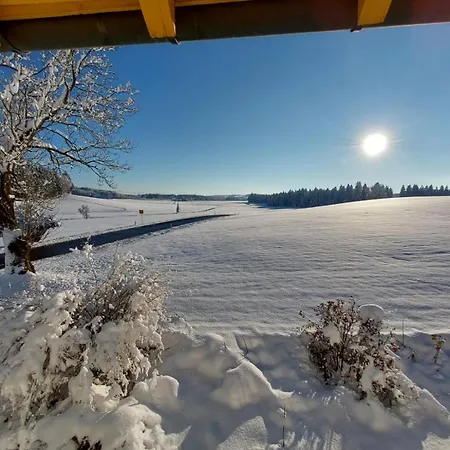 Allgaeu Bergblick *